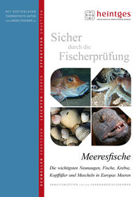 Vorderes Coverbild Meeresfische