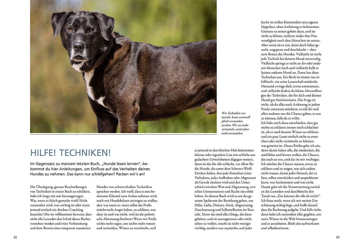Beispielinhalt (Bild) Hunde fühlen und anleiten