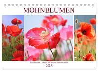 Vorderes Coverbild Mohnblumen. Leuchtender Liebreiz auf Wiesen und in Gärten (Tischkalender 2025 DIN A5 quer), CALVENDO Monatskalender