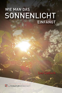 Vorderes Coverbild Wie man das Sonnenlicht einfängt