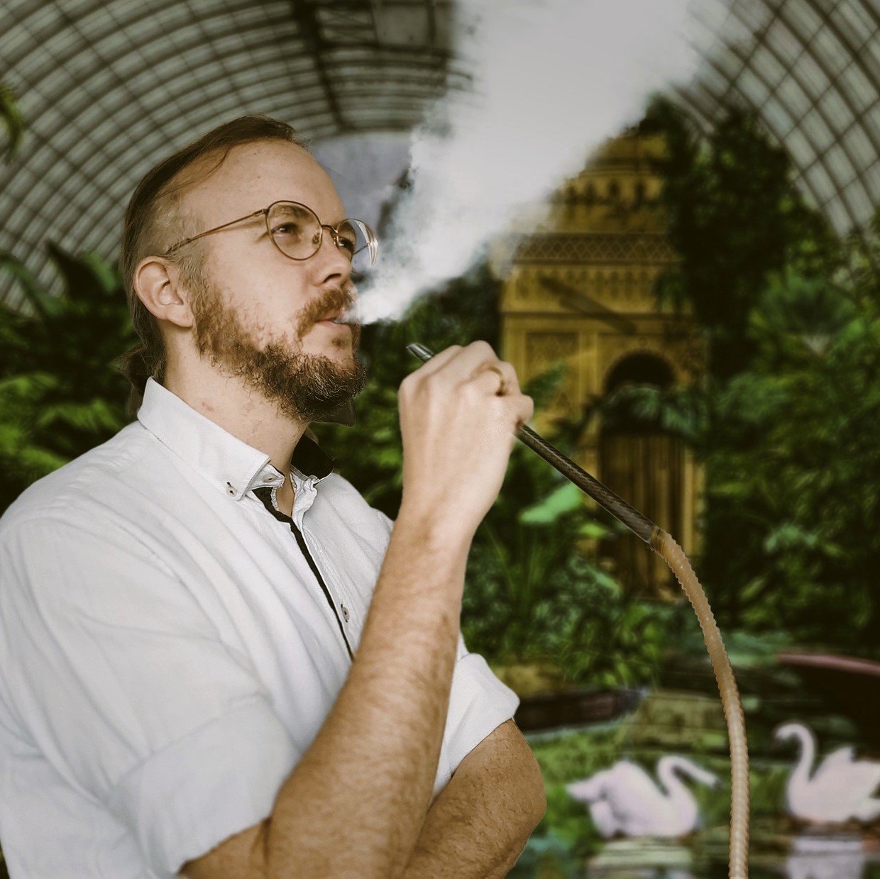 Bild des Mitwirkenden Jurassic Zuckertütenbaum