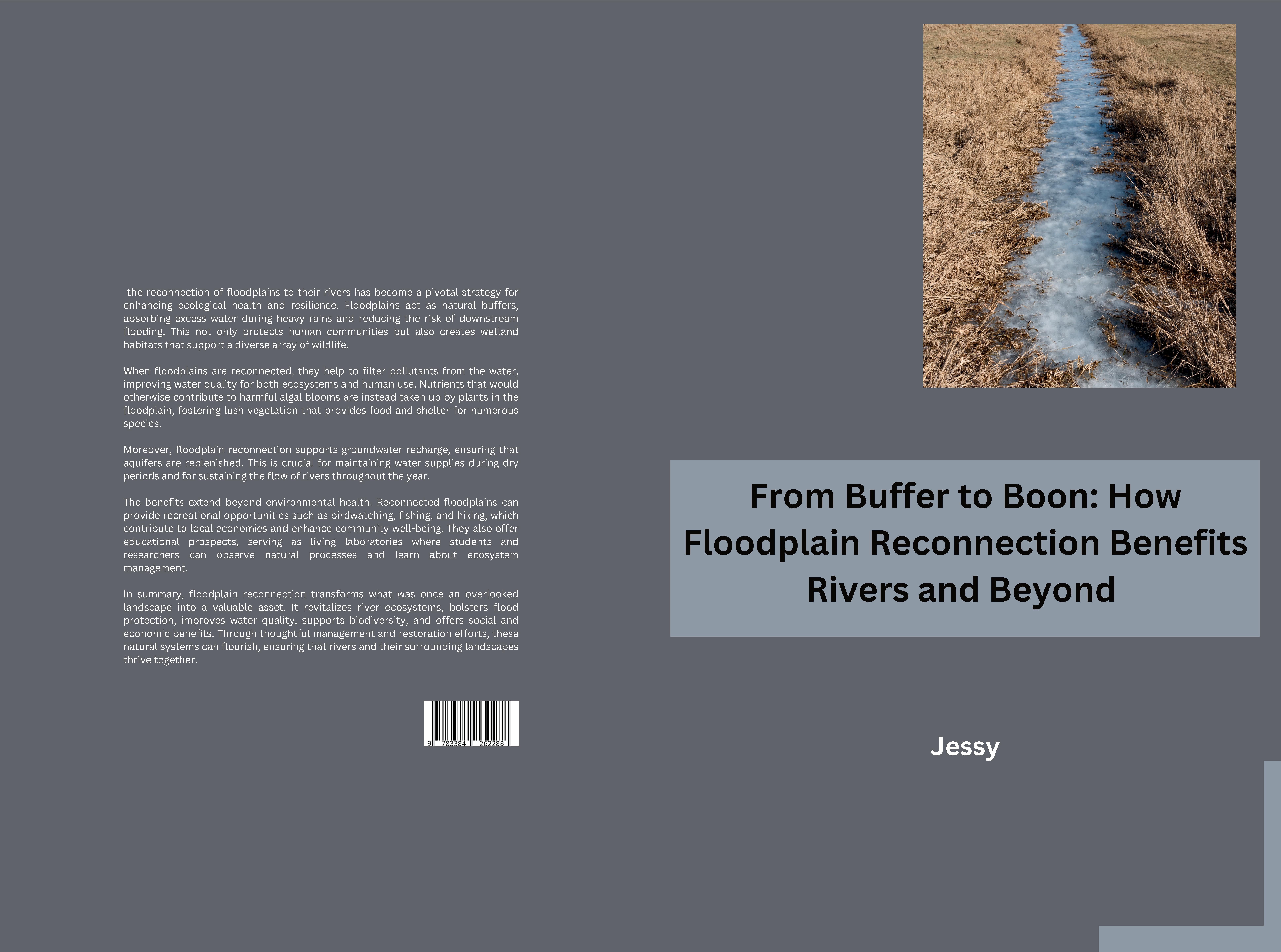 Gesamtes Coverbild From Buffer to Boon: How Floodplain Reconnection Benefits Rivers and Beyond