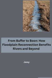 Vorderes Coverbild From Buffer to Boon: How Floodplain Reconnection Benefits Rivers and Beyond
