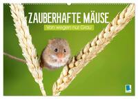 Vorderes Coverbild Zauberhafte Mäuse: Von wegen nur Grau (Wandkalender 2026 DIN A2 quer), CALVENDO Monatskalender