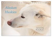 Vorderes Coverbild Alaskan Huskies (Tischkalender 2025 DIN A5 quer), CALVENDO Monatskalender