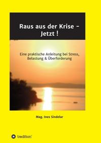 Vorderes Coverbild Raus aus der Krise - Jetzt !