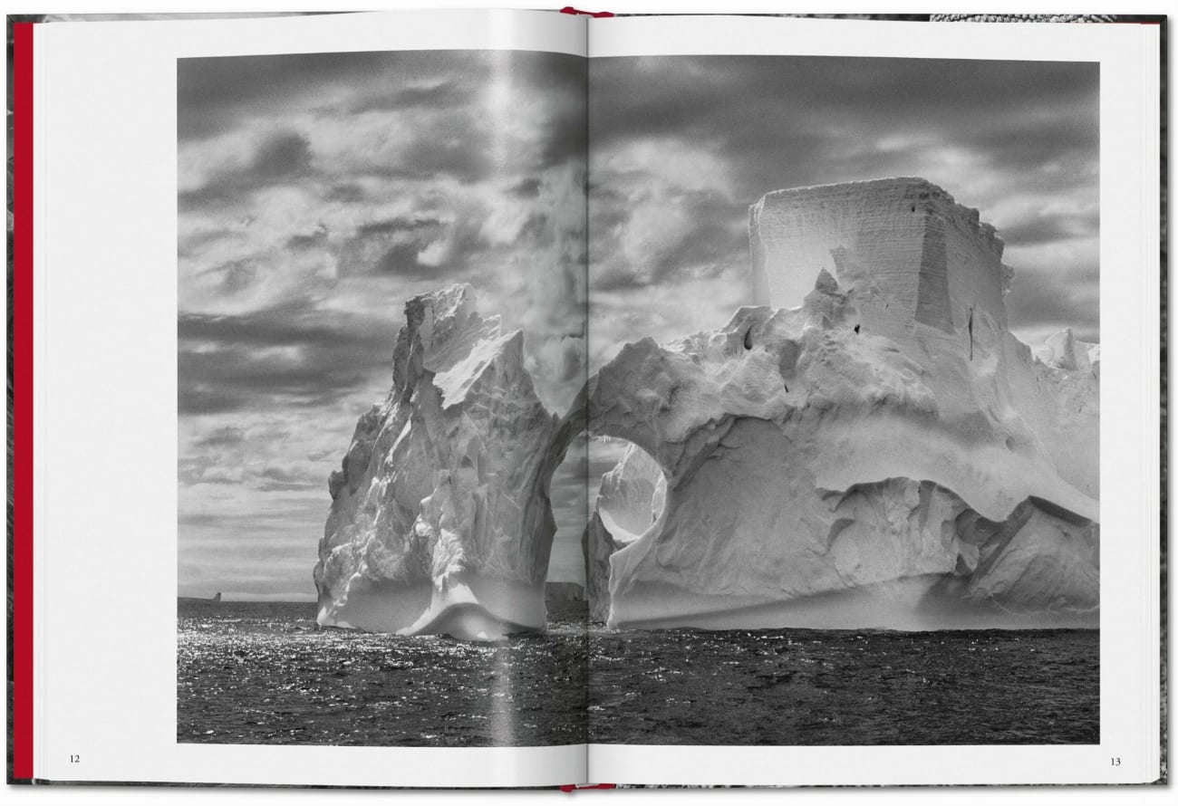 Beispielinhalt (Bild) Sebastião Salgado. Genesis