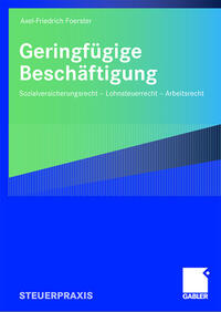 Vorderes Coverbild Geringfügige Beschäftigung