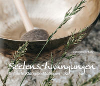 Vorderes Coverbild Seelenschwingungen