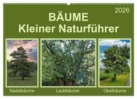 Vorderes Coverbild Bäume Kleiner Naturführer (Wandkalender 2026 DIN A2 quer), CALVENDO Monatskalender