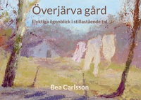 Vorderes Coverbild Överjärva gård