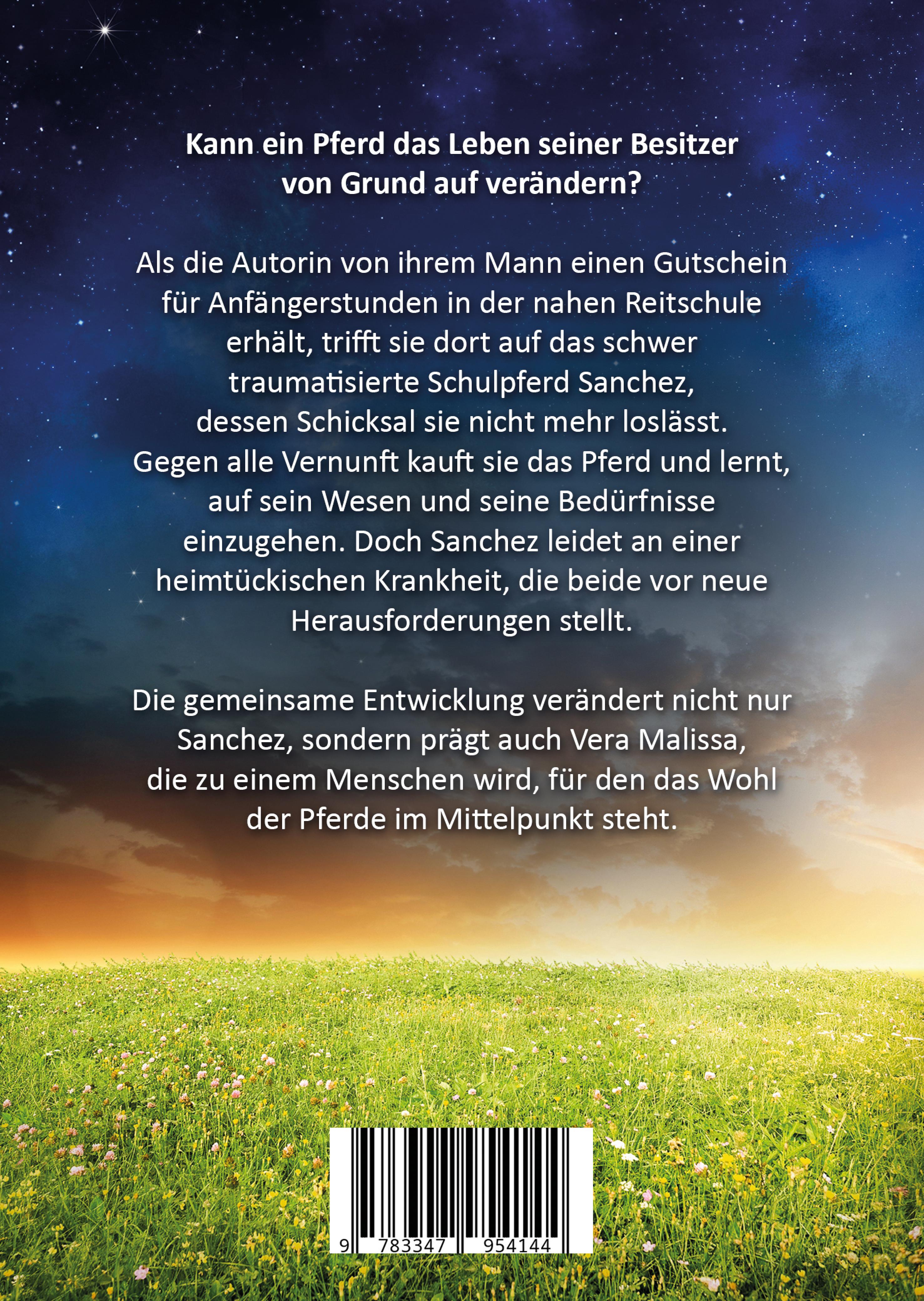 Rückseitencover Reise zu einer Pferdeseele