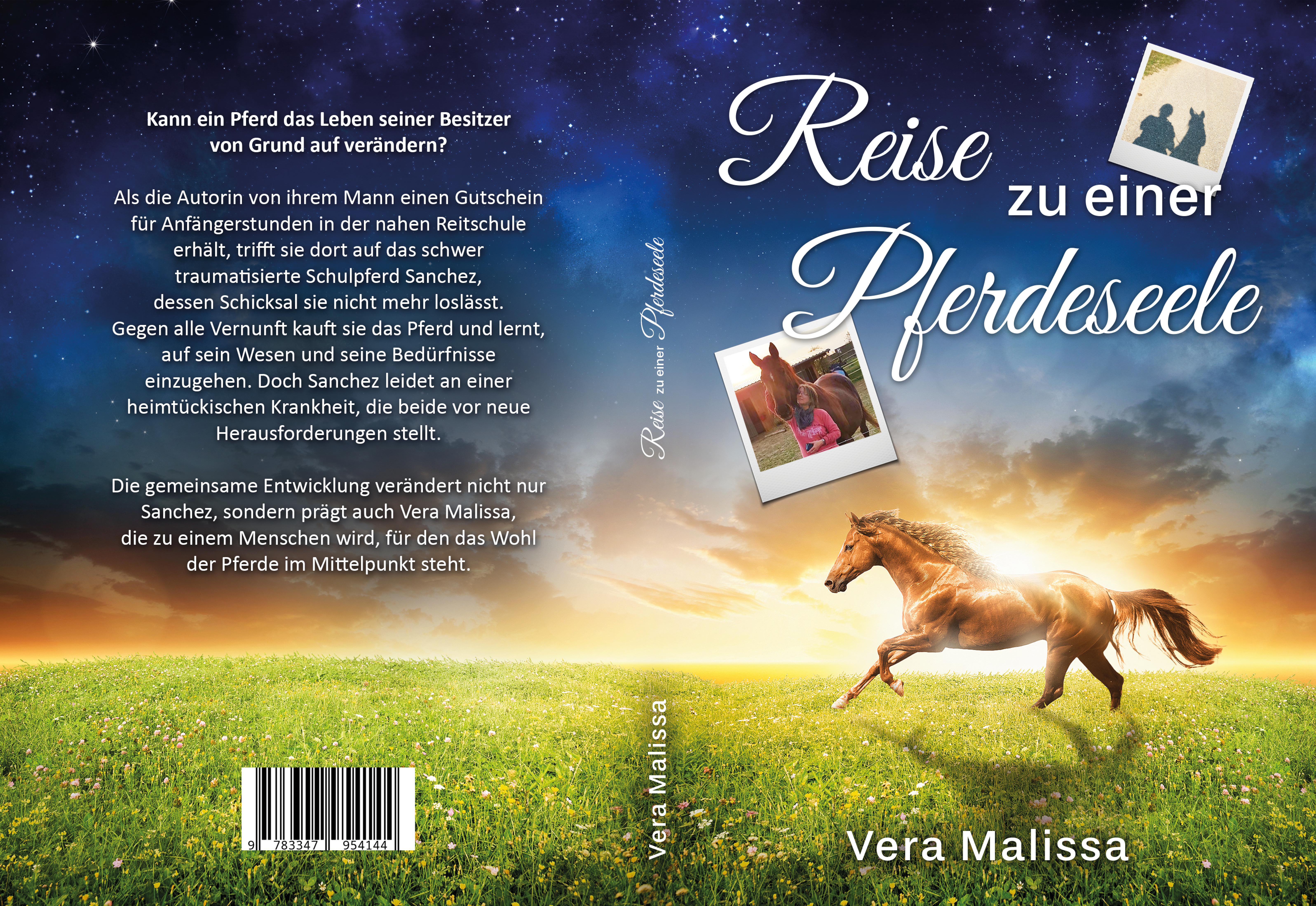 Gesamtes Coverbild Reise zu einer Pferdeseele
