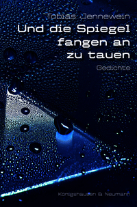 Vorderes Coverbild Und die Spiegel fangen an zu tauen