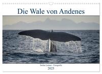 Vorderes Coverbild Die Wale von Andenes (Wandkalender 2025 DIN A3 quer), CALVENDO Monatskalender