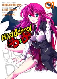 Vorderes Coverbild HighSchool DxD 01