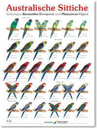 Vorderes Coverbild Poster Australische Sittiche