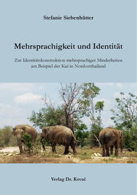 Vorderes Coverbild Mehrsprachigkeit und Identität