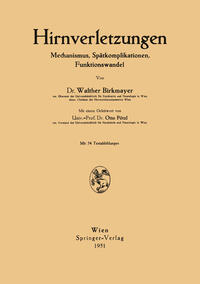 Vorderes Coverbild Hirnverletzungen