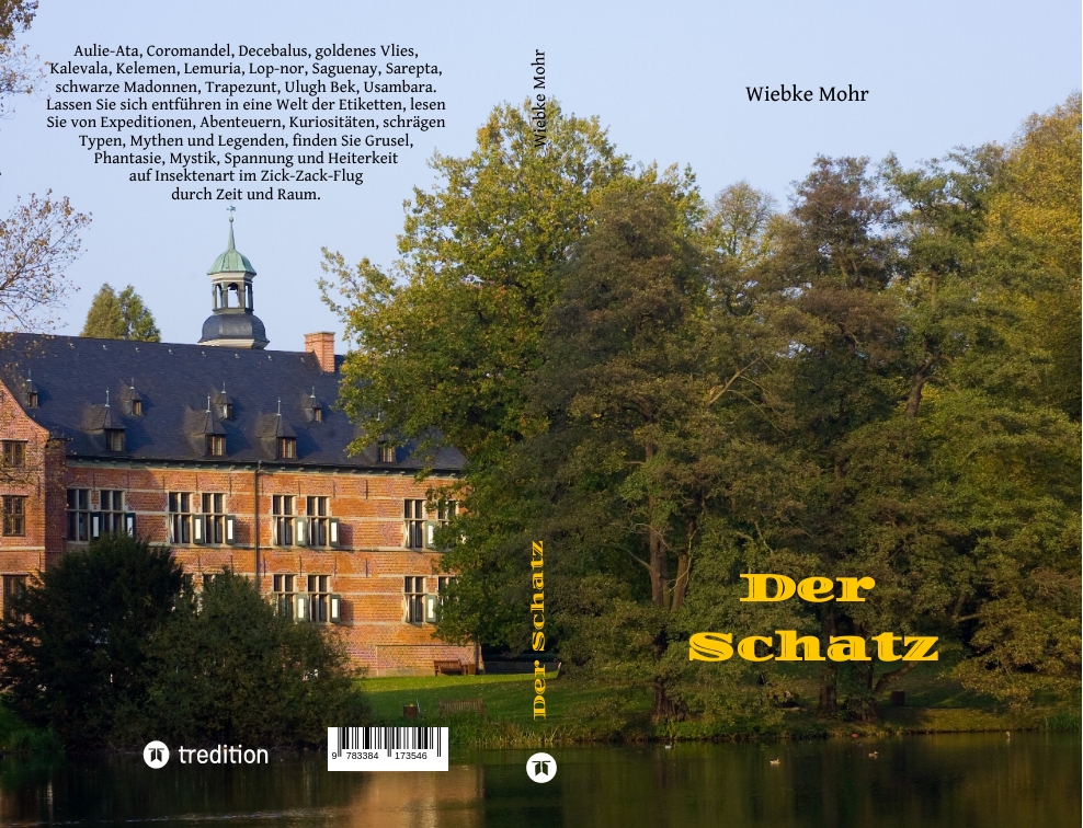 Gesamtes Coverbild Der Schatz