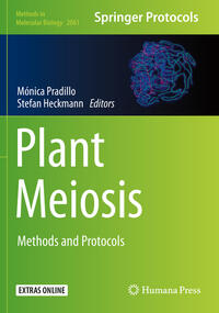 Vorderes Coverbild Plant Meiosis