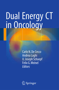 Vorderes Coverbild Dual Energy CT in Oncology