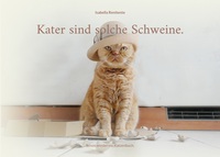 Vorderes Coverbild Kater sind solche Schweine.