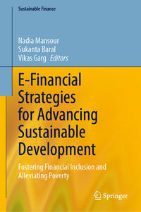 Vorderes Coverbild E-Financial Strategies for Advancing Sustainable Development