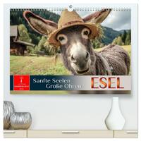 Vorderes Coverbild Esel - sanfte Seelen, große Ohren (hochwertiger Premium Wandkalender 2026 DIN A2 quer), Kunstdruck in Hochglanz