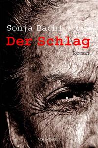 Vorderes Coverbild Der Schlag