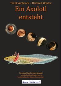 Vorderes Coverbild Ein Axolotl entsteht