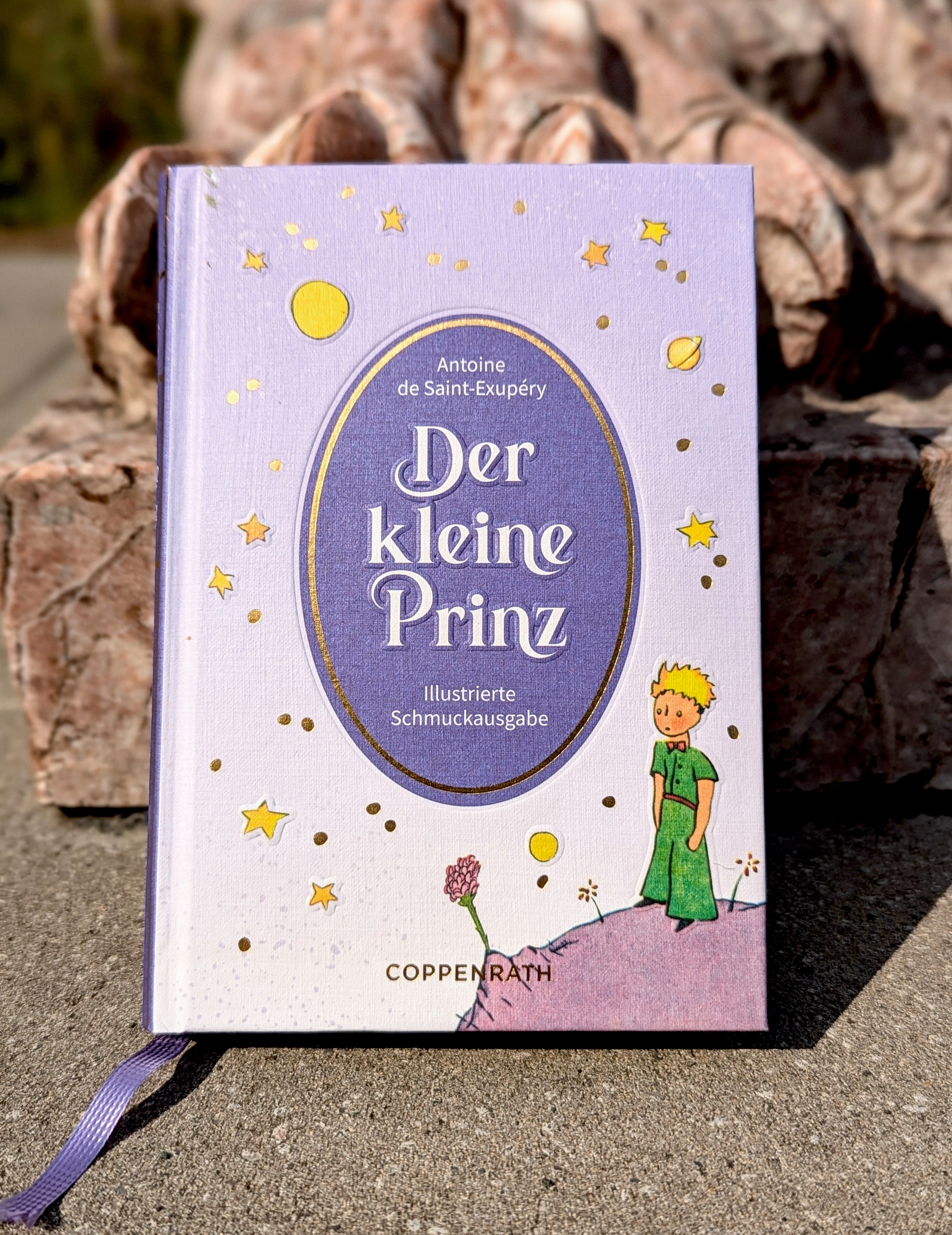 Beispielinhalt (Bild) Der kleine Prinz