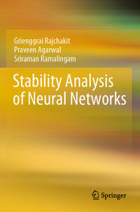 Vorderes Coverbild Stability Analysis of Neural Networks