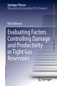 Vorderes Coverbild Evaluating Factors Controlling Damage and Productivity in Tight Gas Reservoirs