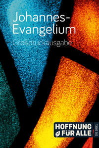 Vorderes Coverbild Johannes-Evangelium – Großdruckausgabe