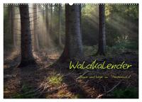 Vorderes Coverbild Waldkalender (Wandkalender 2025 DIN A2 quer), CALVENDO Monatskalender