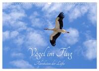 Vorderes Coverbild Vögel im Flug - Akrobaten der Lüfte (Wandkalender 2025 DIN A3 quer), CALVENDO Monatskalender