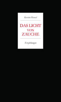 Vorderes Coverbild Kerstin Hensel. Das Licht von Zauche