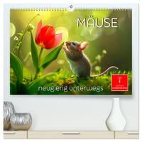 Vorderes Coverbild Mäuse - neugierig unterwegs (hochwertiger Premium Wandkalender 2025 DIN A2 quer), Kunstdruck in Hochglanz