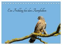 Vorderes Coverbild Ein Frühjahr bei den Turmfalken (Tischkalender 2025 DIN A5 quer), CALVENDO Monatskalender
