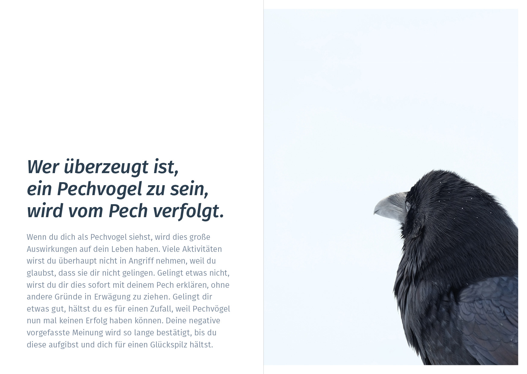 Beispielinhalt (Bild) Wecke deine Lebensfreude
