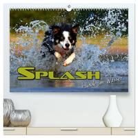 Vorderes Coverbild SPLASH - Hunde im Wasser (hochwertiger Premium Wandkalender 2026 DIN A2 quer), Kunstdruck in Hochglanz