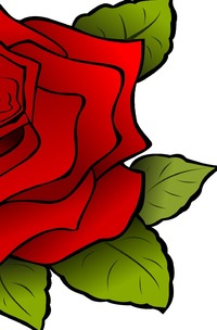 Vorderes Coverbild Mandala