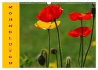 Vorderes Coverbild MOHNBLÜTEN (Wandkalender 2025 DIN A3 quer), CALVENDO Monatskalender