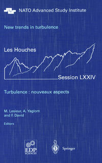 Vorderes Coverbild New trends in turbulence. Turbulence: nouveaux aspects