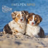 Vorderes Coverbild Alpha Edition - Welpen 2025 Broschürenkalender, 30x30cm, Wandkalender mit Platz für Notizen und Termine, schöne Motive von süßen Welpen, Monatsübersicht und Ferientermine DE/AT/CH