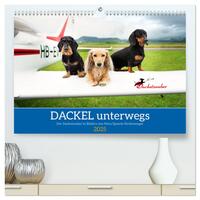 Vorderes Coverbild Dackel unterwegs (hochwertiger Premium Wandkalender 2025 DIN A2 quer), Kunstdruck in Hochglanz