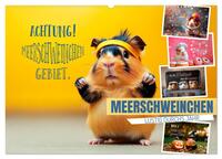 Vorderes Coverbild Meerschweinchen LUSTIG DURCHS JAHR (Wandkalender 2026 DIN A2 quer), CALVENDO Monatskalender