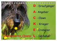 Vorderes Coverbild Liebenswerte Clowns (Tischkalender 2025 DIN A5 quer), CALVENDO Monatskalender