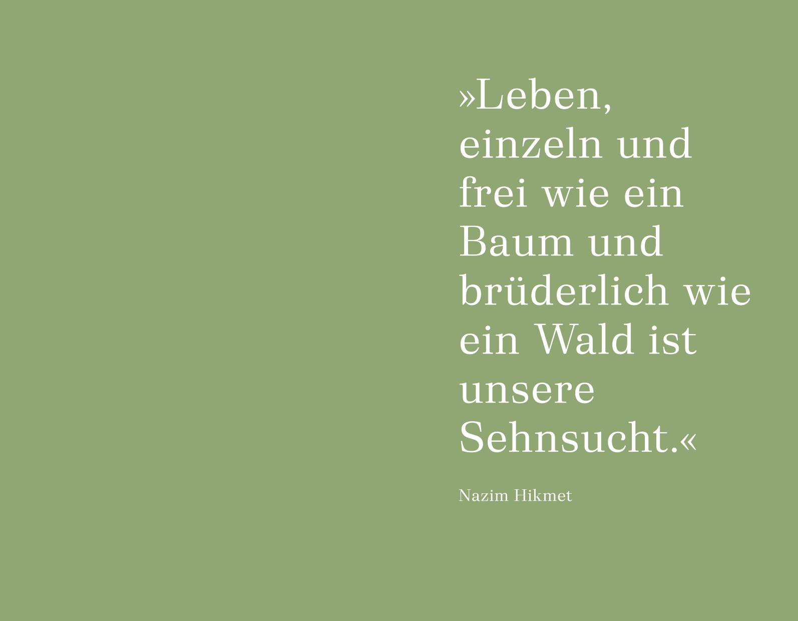Beispielinhalt (Bild) Unter Bäumen